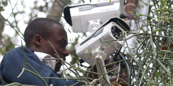 CCTV Installation Works